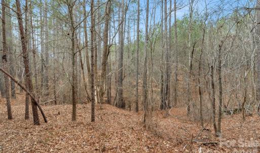 Photo #43 of Woods Ferry, Carlisle, SC