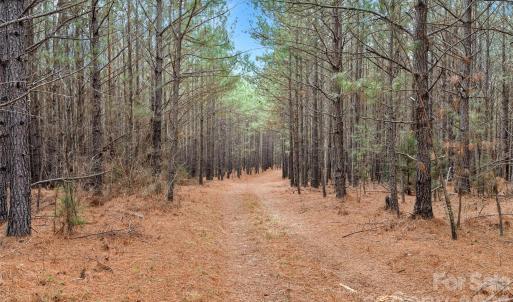 Photo #41 of Woods Ferry, Carlisle, SC