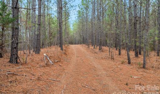 Photo #26 of Woods Ferry, Carlisle, SC