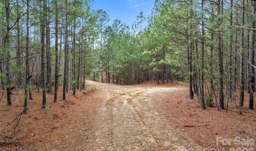 Photo #6 of Woods Ferry, Carlisle, SC