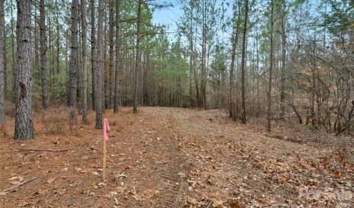 Photo #31 of Woods Ferry, Carlisle, SC