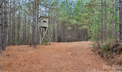 Photo #9 of Woods Ferry, Carlisle, SC
