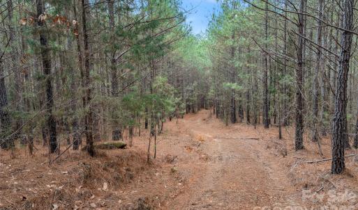 Photo #29 of Woods Ferry, Carlisle, SC