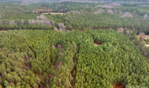 Photo #46 of Woods Ferry, Carlisle, SC