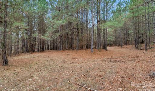 Photo #23 of Woods Ferry, Carlisle, SC