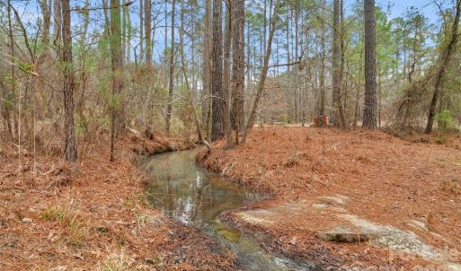 Photo #3 of Woods Ferry, Carlisle, SC