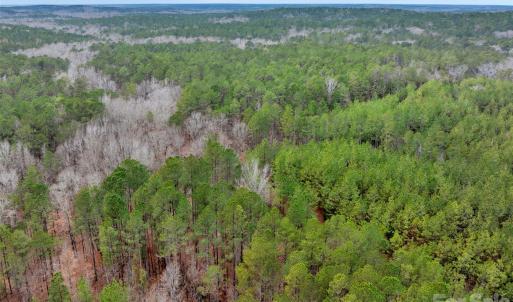 Photo #33 of Woods Ferry, Carlisle, SC