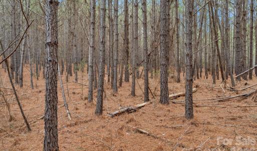 Photo #28 of Woods Ferry, Carlisle, SC