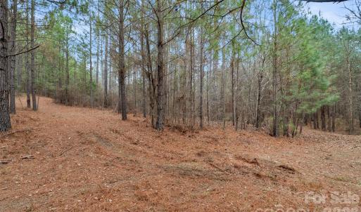 Photo #25 of Woods Ferry, Carlisle, SC