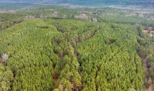 Photo #34 of Woods Ferry, Carlisle, SC