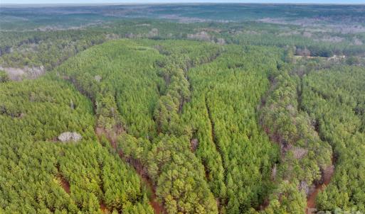 Photo #4 of Woods Ferry, Carlisle, SC