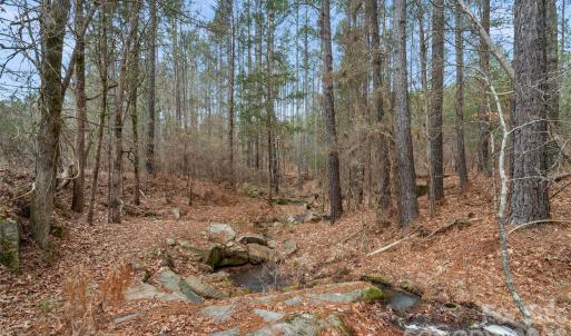 Photo #15 of Woods Ferry, Carlisle, SC