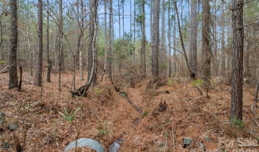 Photo #24 of Woods Ferry, Carlisle, SC