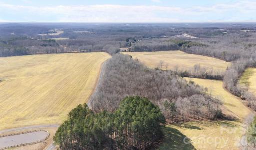 Photo #11 of Georgia, Mocksville, NC