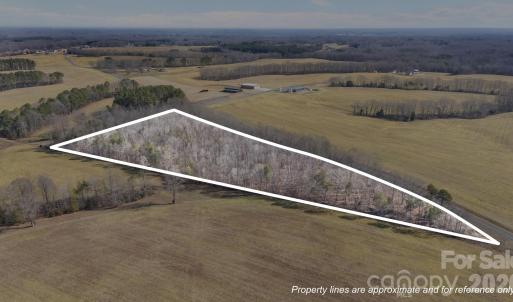 Photo #1 of Georgia, Mocksville, NC