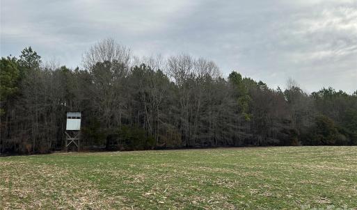 Photo #8 of 1440 Carl Taylor, Peachland, NC