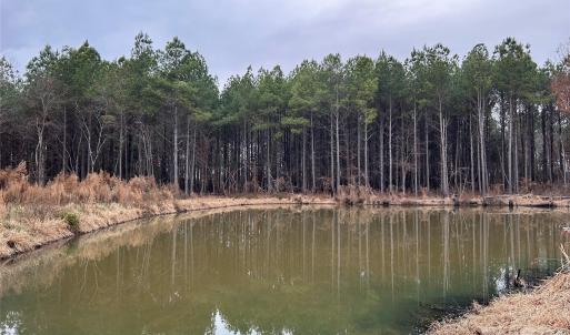 Photo #3 of 1440 Carl Taylor, Peachland, NC