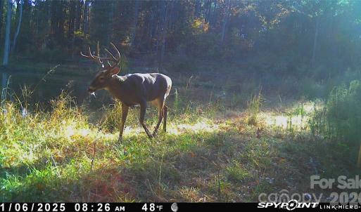 Photo #16 of 1440 Carl Taylor, Peachland, NC