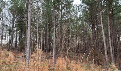 Photo #15 of 1440 Carl Taylor, Peachland, NC