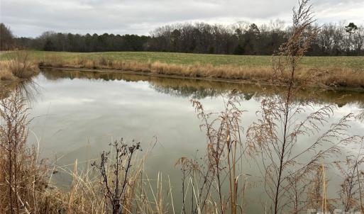 Photo #3 of 1440 Carl Taylor, Peachland, NC