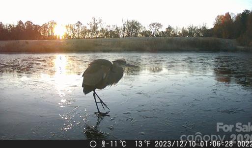 Photo #22 of 1440 Carl Taylor, Peachland, NC