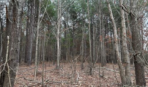 Photo #15 of 1440 Carl Taylor, Peachland, NC