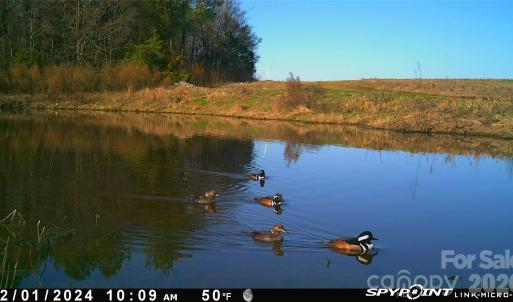 Photo #19 of 1440 Carl Taylor, Peachland, NC