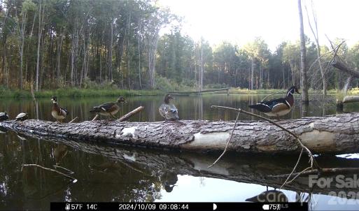 Photo #20 of 1440 Carl Taylor, Peachland, NC