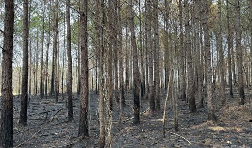 Photo #13 of 1440 Carl Taylor, Peachland, NC