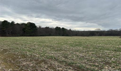 Photo #6 of 1440 Carl Taylor, Peachland, NC