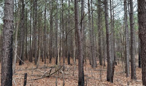 Photo #16 of 1440 Carl Taylor, Peachland, NC