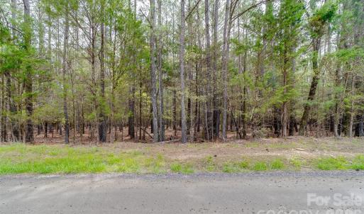 Photo #2 of Sandlapper, York, SC