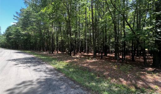 Photo #1 of Sandlapper, York, SC