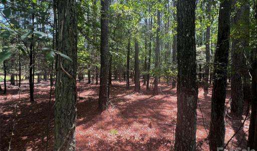 Photo #4 of Sandlapper, York, SC