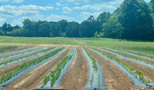 Photo #3 of 36299 Finger, Mount Pleasant, NC