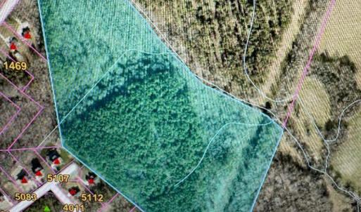 Photo #4 of 37.43AC Lawrence, Clover, SC