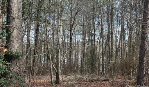 Photo #5 of Lot 18 Sanctuary, Lilesville, NC