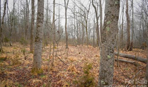 Photo #10 of TBD Dirgie Mine, Roxboro, NC