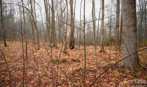 Photo #9 of TBD Dirgie Mine, Roxboro, NC