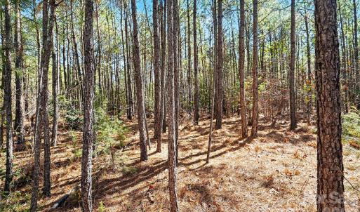 Photo #11 of Three Crow, Lancaster, SC