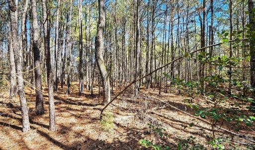 Photo #10 of Three Crow, Lancaster, SC