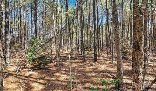 Photo #10 of Three Crow, Lancaster, SC