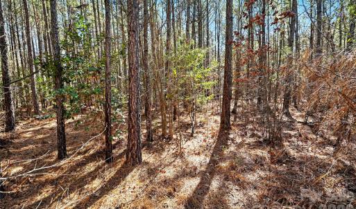 Photo #11 of Three Crow, Lancaster, SC