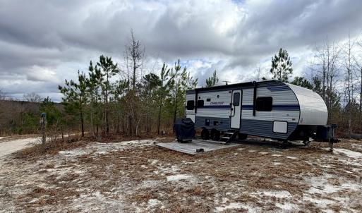 Photo #10 of 505 Shag, Chesterfield, SC