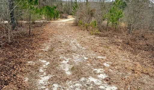 Photo #24 of 505 Shag, Chesterfield, SC