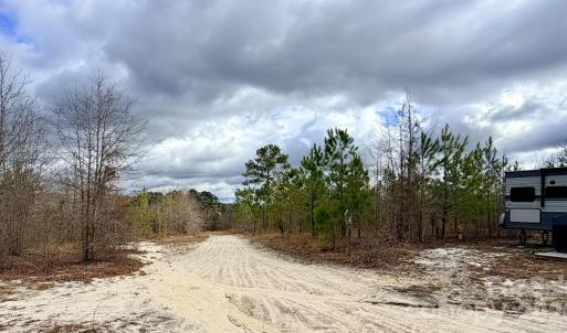 Photo #9 of 505 Shag, Chesterfield, SC