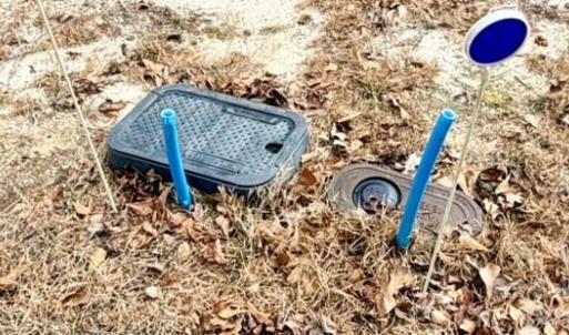 Photo #37 of 505 Shag, Chesterfield, SC