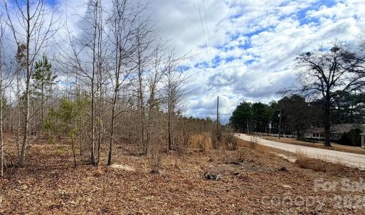 Photo #42 of 505 Shag, Chesterfield, SC