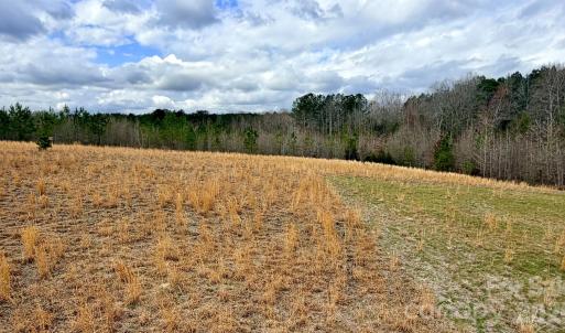 Photo #14 of 505 Shag, Chesterfield, SC