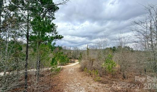 Photo #32 of 505 Shag, Chesterfield, SC